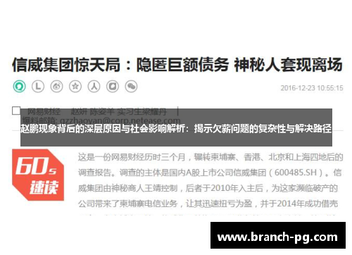 赵鹏现象背后的深层原因与社会影响解析：揭示欠薪问题的复杂性与解决路径