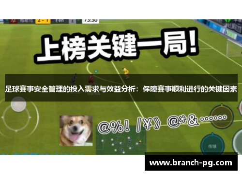 足球赛事安全管理的投入需求与效益分析：保障赛事顺利进行的关键因素