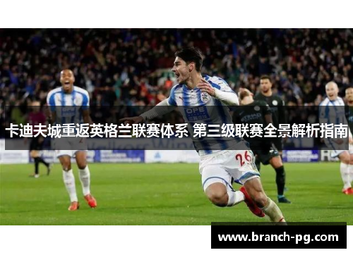 卡迪夫城重返英格兰联赛体系 第三级联赛全景解析指南