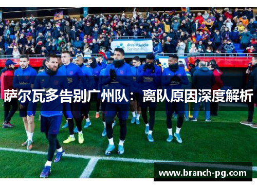 萨尔瓦多告别广州队：离队原因深度解析