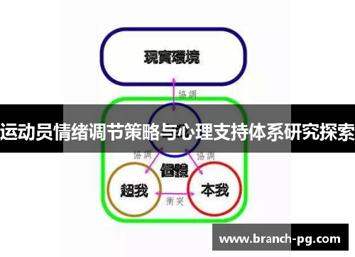 运动员情绪调节策略与心理支持体系研究探索