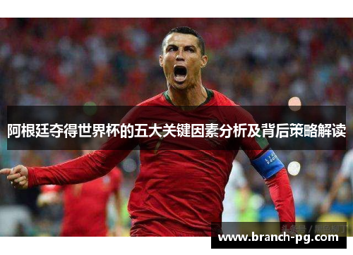 阿根廷夺得世界杯的五大关键因素分析及背后策略解读