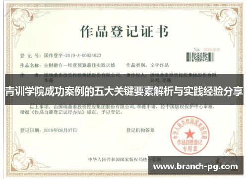 青训学院成功案例的五大关键要素解析与实践经验分享