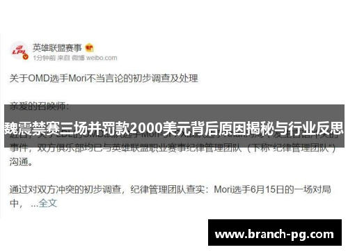 魏震禁赛三场并罚款2000美元背后原因揭秘与行业反思