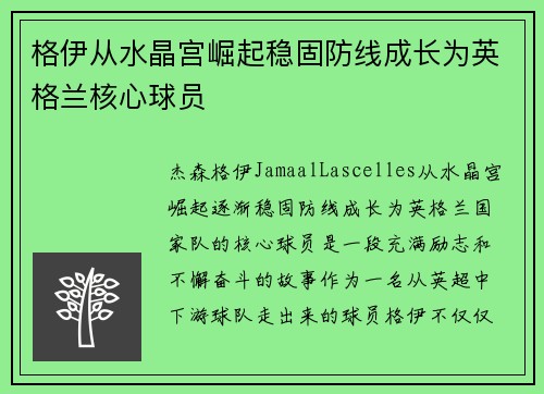 格伊从水晶宫崛起稳固防线成长为英格兰核心球员
